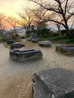 本薬師寺跡　ホテイアオイの写真・動画_image_345081