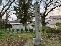 本薬師寺跡　ホテイアオイの写真・動画_image_345082