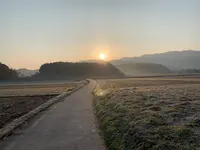 大官大寺跡の写真・動画_image_345091