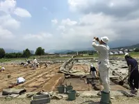 藤原宮跡の写真・動画_image_345094