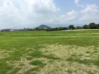 藤原宮跡の写真・動画_image_345096