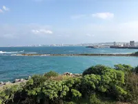 宜野湾市立野球場の写真・動画_image_345279