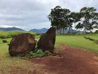 クカニロコ・バーシング・ストーンズの写真・動画_image_345419