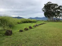 クカニロコ・バーシング・ストーンズの写真・動画_image_345420