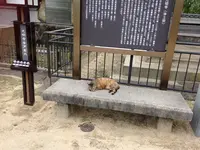 ネコノテパン工場の写真・動画_image_34581