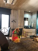 リブマックスリゾート 京丹後シーフロントの写真・動画_image_345813