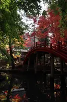 今高野山龍華寺の写真・動画_image_345968