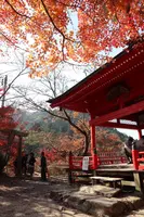 今高野山龍華寺の写真・動画_image_345969