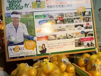 うずの丘　大鳴門橋記念館の写真・動画_image_34650