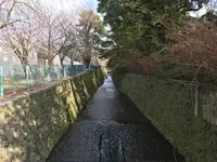 兼六園の写真・動画_image_346716