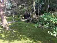 兼六園の写真・動画_image_346728