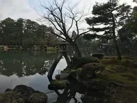 兼六園の写真・動画_image_346732