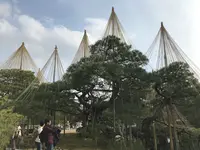 兼六園の写真・動画_image_346735