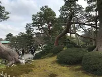 兼六園の写真・動画_image_346744