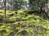兼六園の写真・動画_image_346755