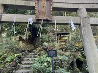 赤坂氷川神社の写真・動画_image_346885