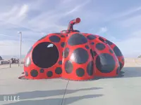 赤かぼちゃの写真・動画_image_346952