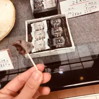 熱海駅前 平和通り商店街の写真・動画_image_347472