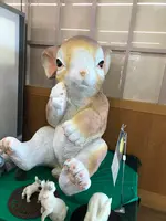 月うさぎの里の写真・動画_image_348202