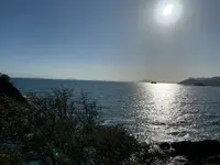 仙酔島の写真・動画_image_348373
