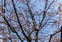熱海サンビーチの写真・動画_image_348489
