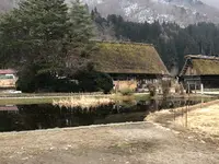 白川郷合掌造りの写真・動画_image_348500