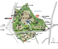 代々木公園の写真・動画_image_348601