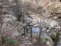 鳥地獄・虫地獄の写真・動画_image_348762