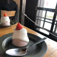 OXYMORON 北浜の写真・動画_image_348772