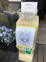 代々木VILLAGEの写真・動画_image_348780