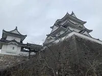 上野公園の写真・動画_image_348910