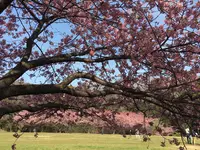 臼井城址の写真・動画_image_349183