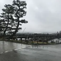 嵐山の写真・動画_image_349210