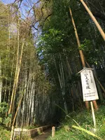 佐倉サムライの古径 ひよどり坂の写真・動画_image_349222