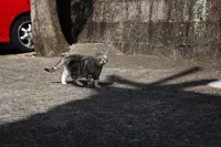 艮神社の写真・動画_image_349315