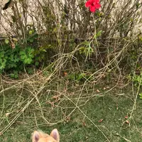 波の上うみそら公園の写真・動画_image_349509