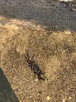 波の上うみそら公園の写真・動画_image_349510