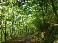 山須原ダムの写真・動画_image_349555