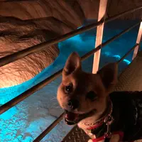 おきなわワールドの写真・動画_image_349652