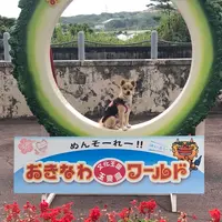 おきなわワールドの写真・動画_image_349653