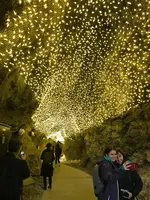 江の島岩屋の写真・動画_image_349701