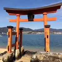 長浜神社の写真・動画_image_350082