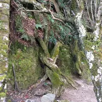 長浜神社の写真・動画_image_350126
