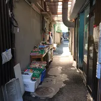 誓真さんの井戸の写真・動画_image_350263