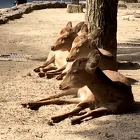 世界遺産碑の写真・動画_image_350267