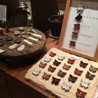 zakkaひぐらしの写真・動画_image_350275