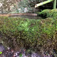 玉氷の写真・動画_image_350323