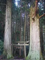 壇鏡の滝の写真・動画_image_350385