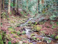 壇鏡の滝の写真・動画_image_350386