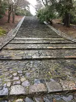 東大寺の写真・動画_image_350407